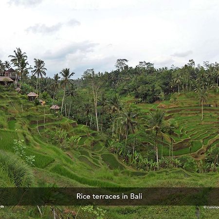 Zen Rooms Dewi Ratih Seminyak Kuta Lombok Eksteriør bilde